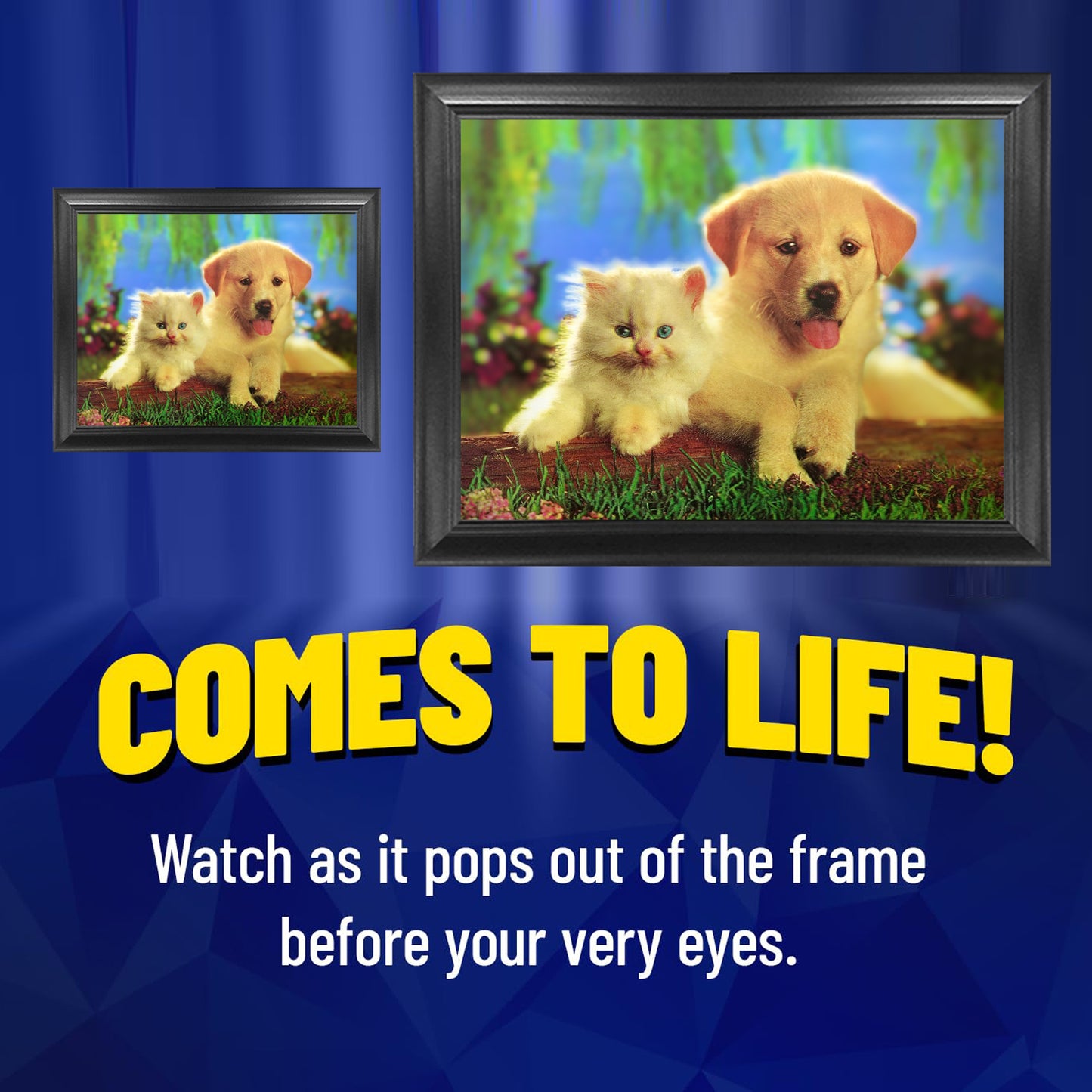 Naked-Eye 3D Picture Cute Dog&Cute Binocular Vision Technology